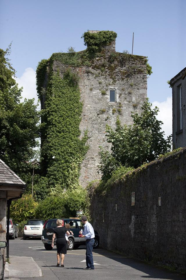 Kildare Castle